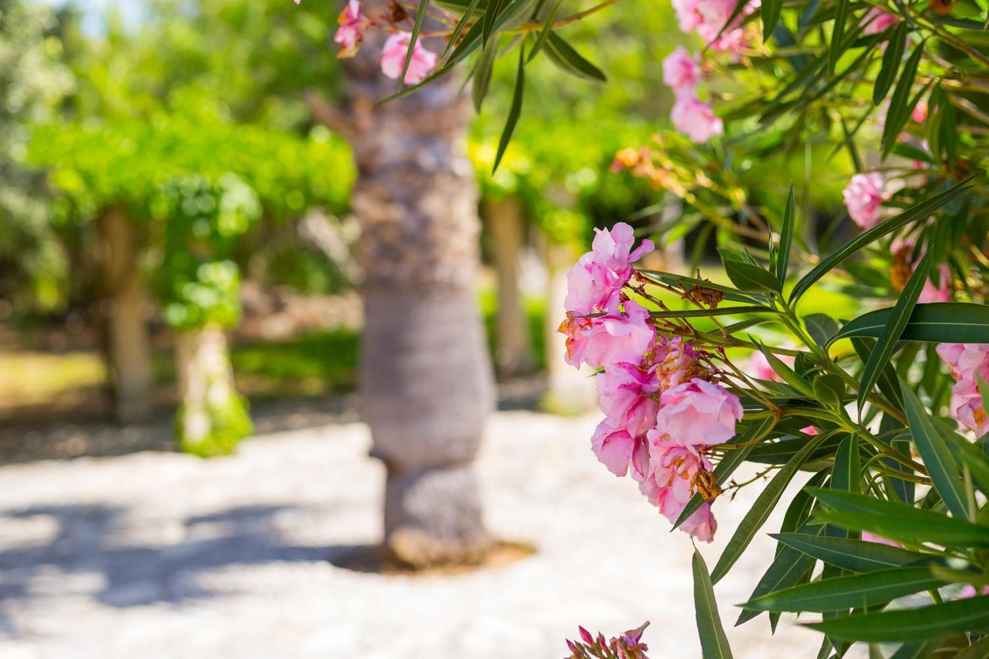 Fangar Agroturismo Campanet Ngoại thất bức ảnh