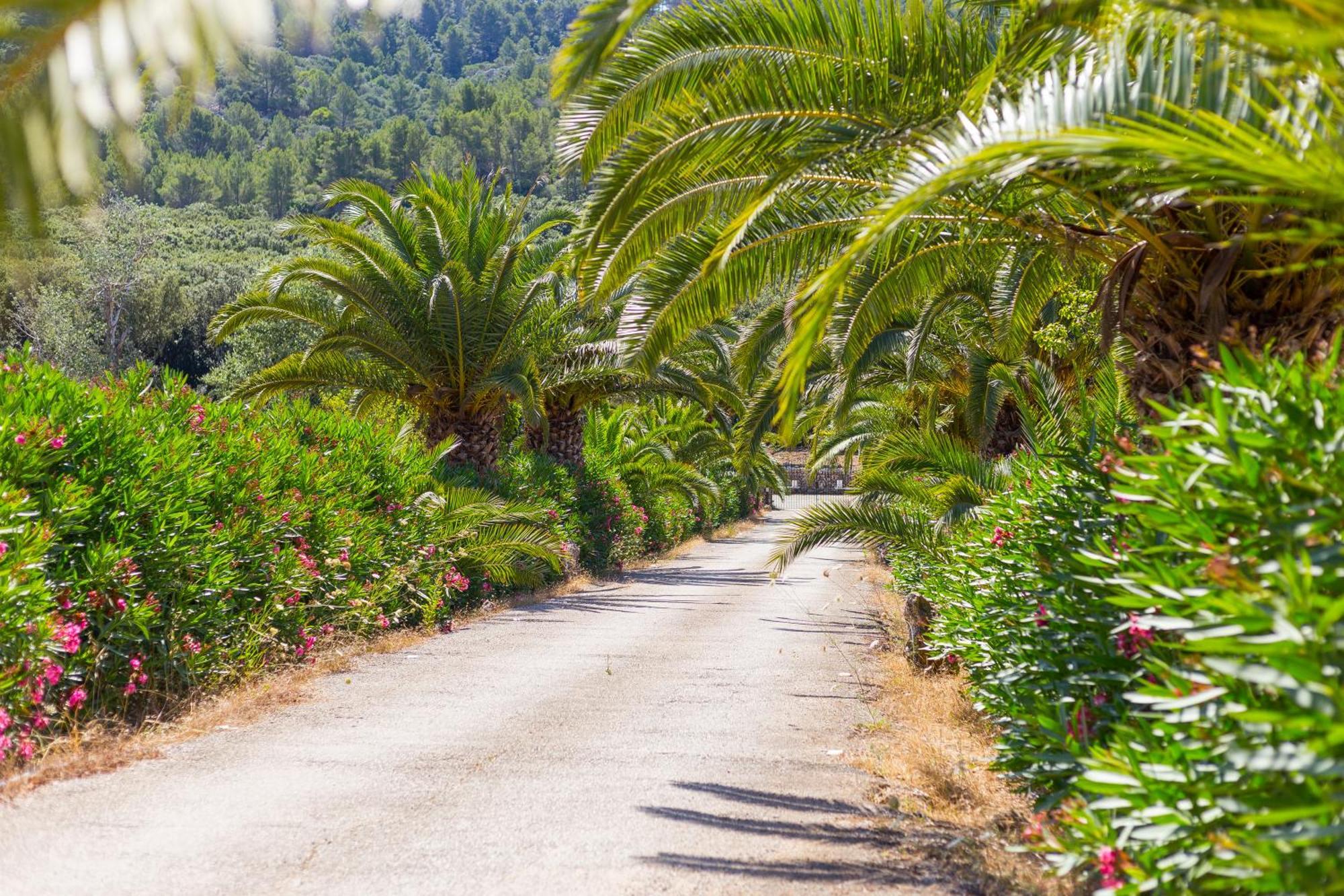 Fangar Agroturismo Campanet Ngoại thất bức ảnh