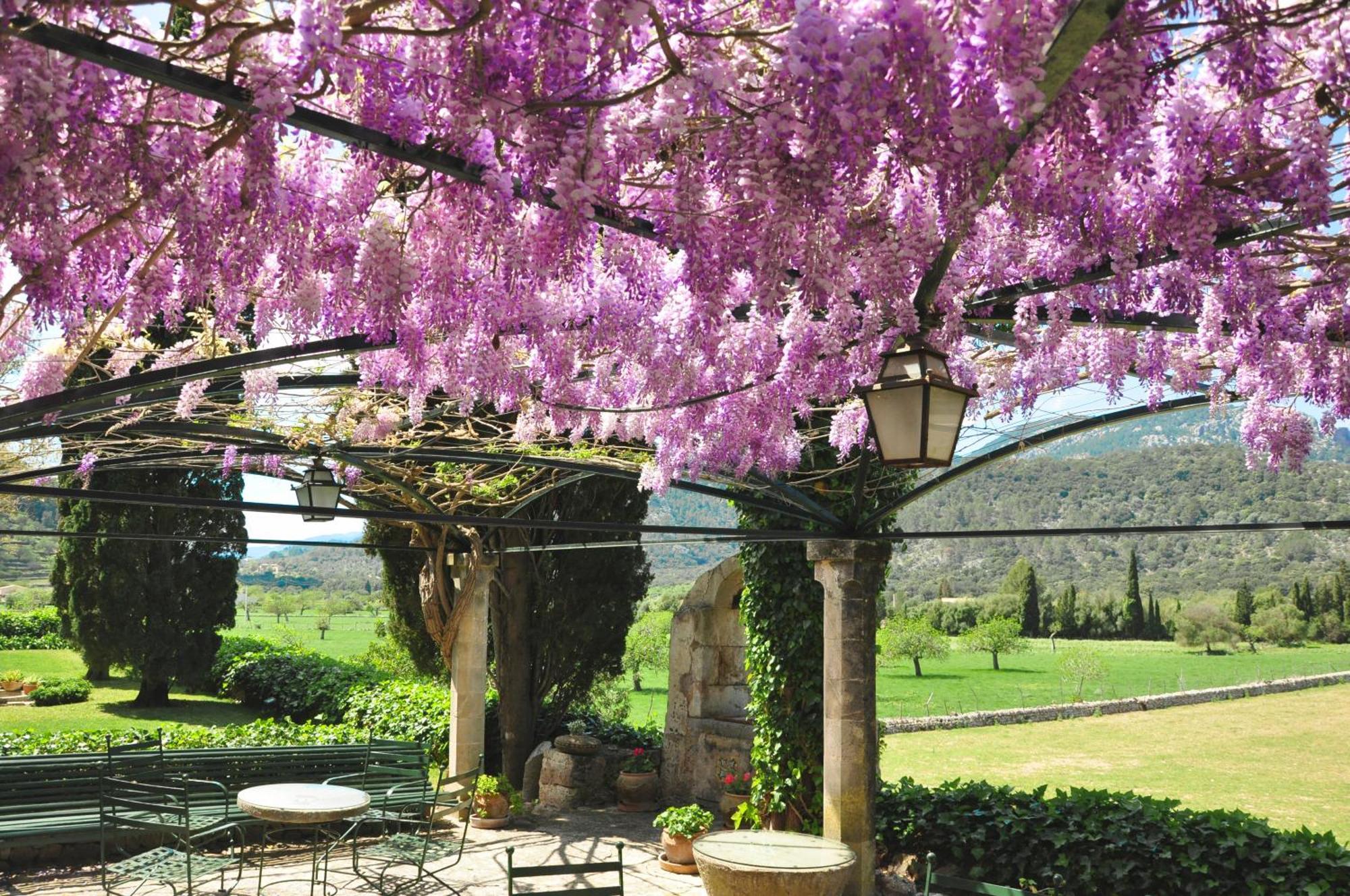 Fangar Agroturismo Campanet Ngoại thất bức ảnh